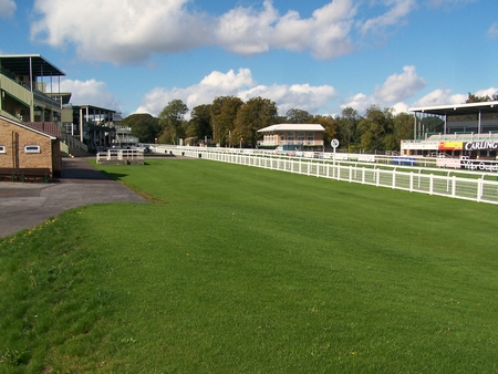 Salisbury Racecourse.JPG